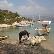 Island where we had a swim
