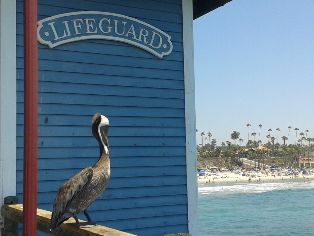 Weird looking lifeguards at Oceanside.